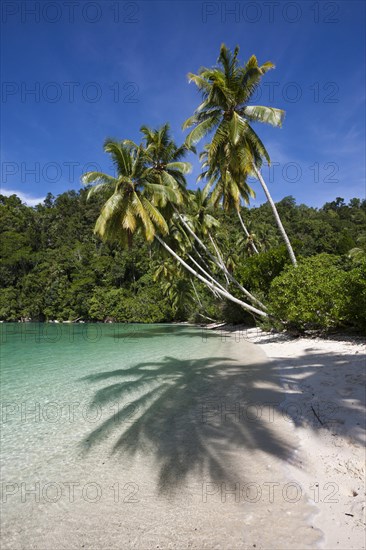 Tropical island in the Strait of