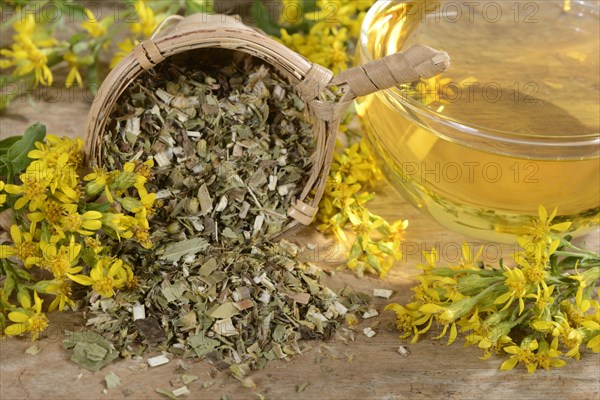 Cup goldenrod tea