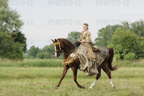 Rider with historical dress on trotting Arabian Thoroughbred stallion