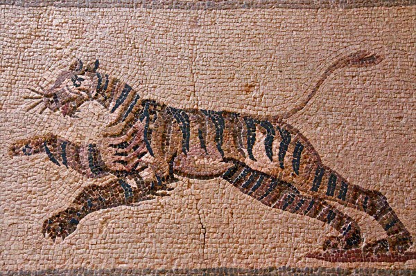 Mosaic Racing Tiger