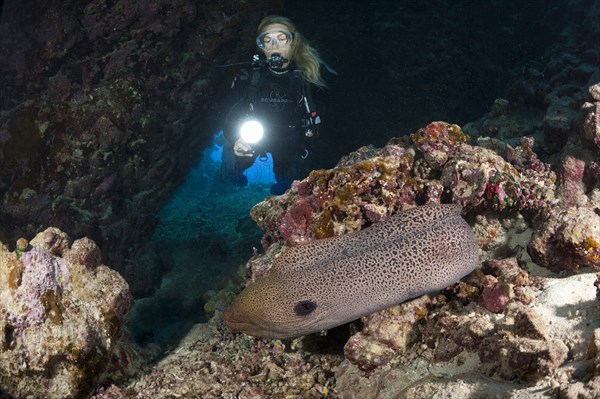 Diver in underwater cave