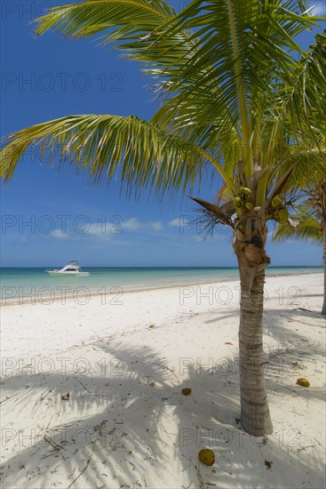 Varadero Beach