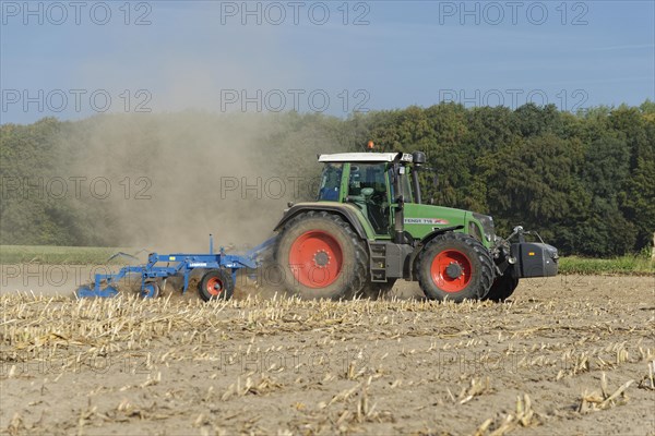 Farmer cultivating harvested maize field