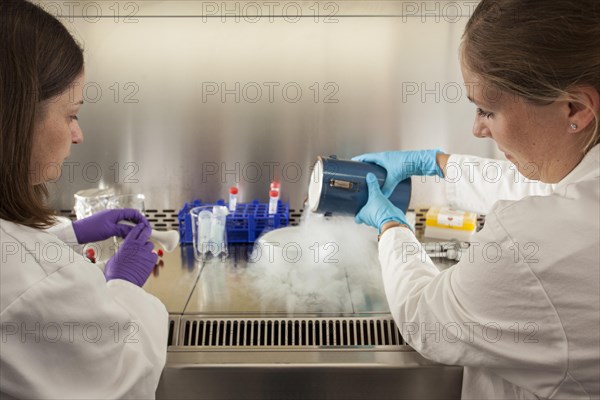 Female scientists of the biology department during RNA isolation and genetic engineering in the laboratories of the University of Duisburg-Essen