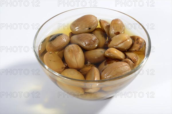 Water acorns