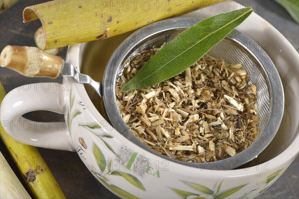 Willow bark tea