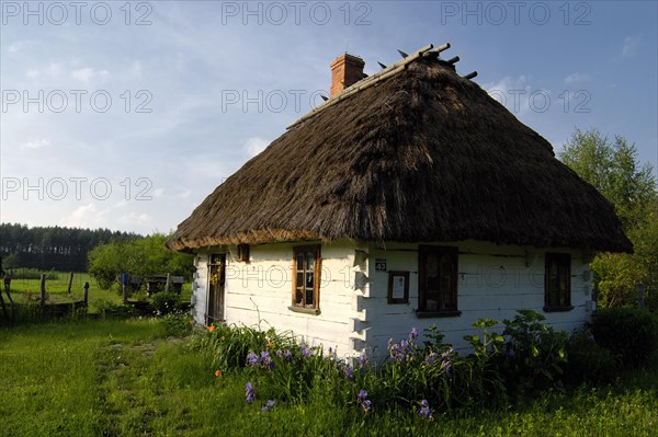 Thatched woodhouse