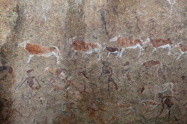 Archaeological rock drawing White Lady