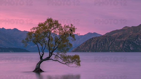 Lake Wanaka