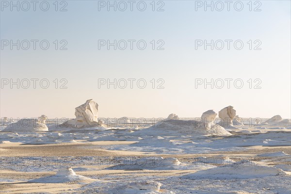 View over the white desert