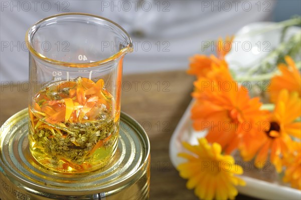 Production of yarrow and marigold ointment