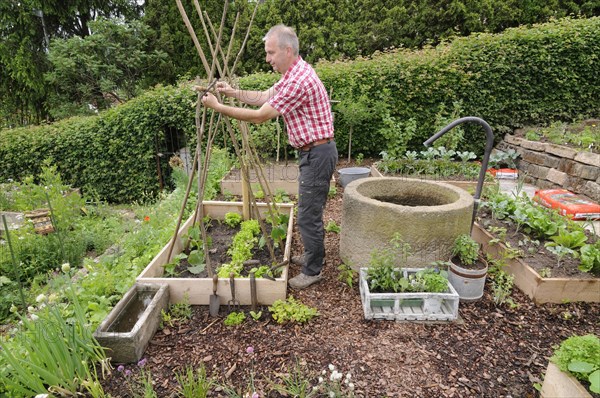Creation of organic garden