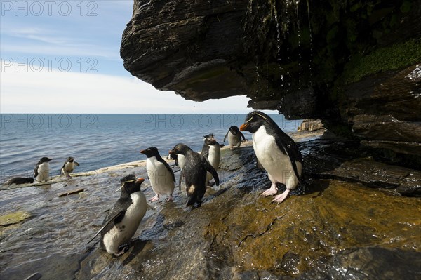 Saunders Island