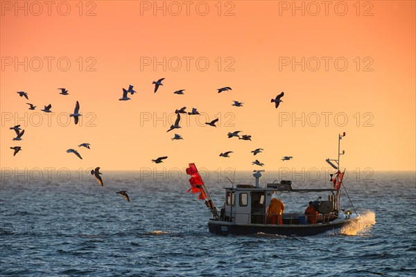 Fishing boat