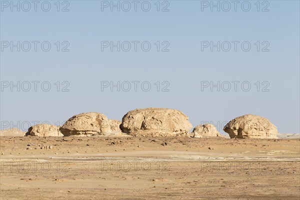 View over the white desert