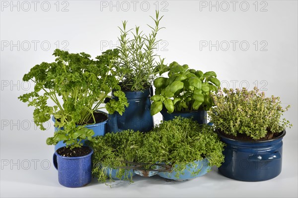 Various herbs in old bowls and cups