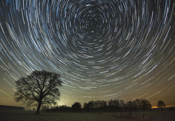 Star trails