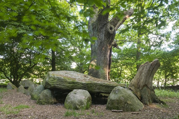 Large stone grave