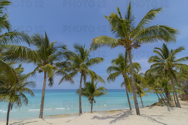 Varadero Beach