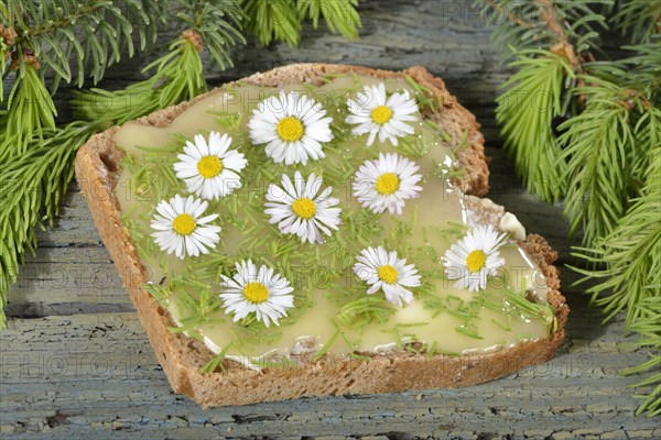 Spelt bread with spruce tips