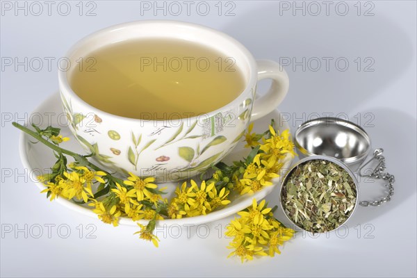 Goldenrod tea