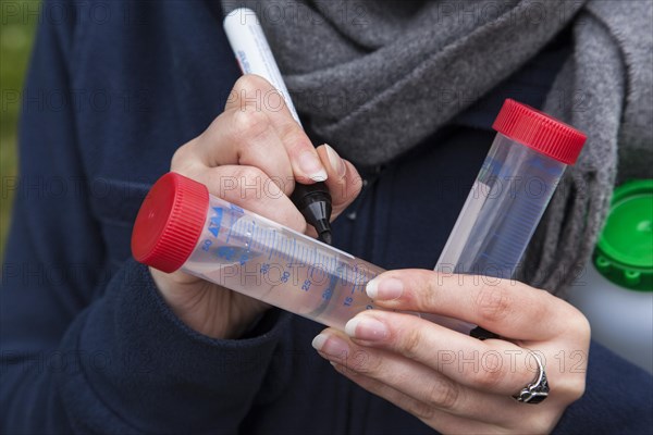 Scientists of the Biodiversity Group of the University of Duisburg-Essen labelling water samples at Grietherbusch in the Lower Rhine region