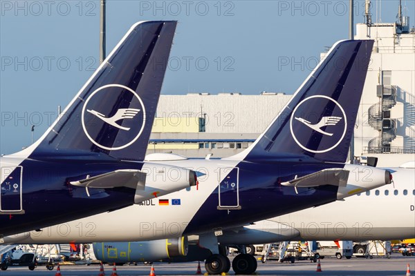 Airbus tail units of Lufthansa with the crane logo at Frankfurt Airport