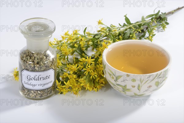 Cup goldenrod tea