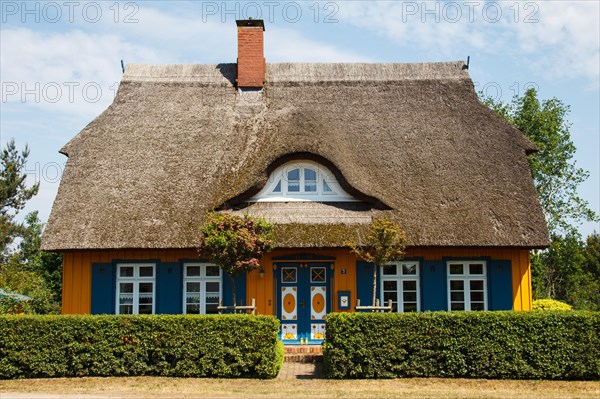 Thatched roof house