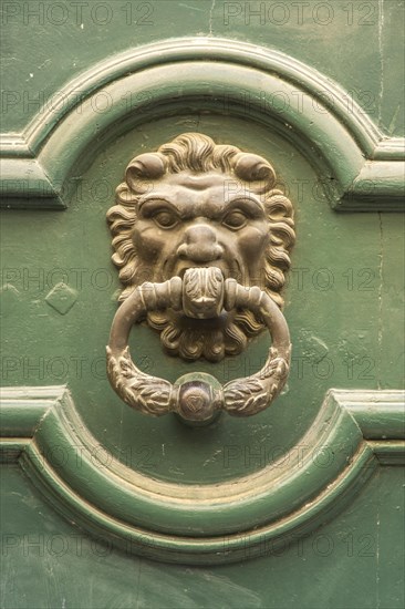 Door knocker