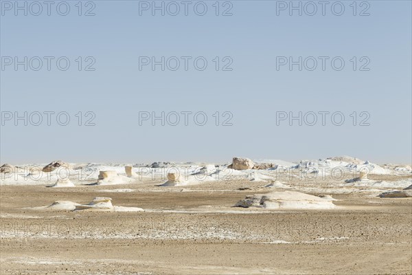 View over the white desert