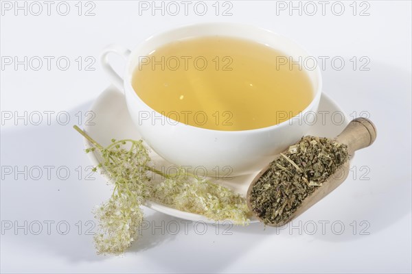 Cup meadowsweet tea