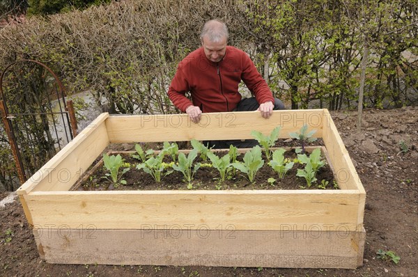 Creation of organic garden