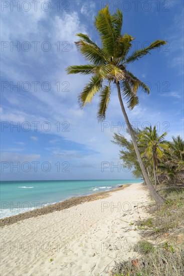 Varadero Beach