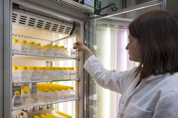 Scientist of biology at an incubator in the genetic engineering section of the laboratories of the University of Duisburg-Essen