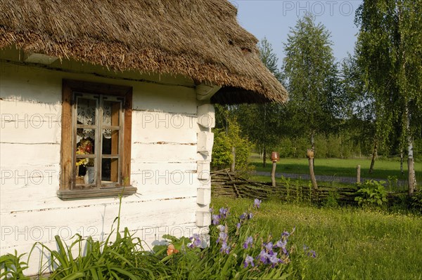 Thatched woodhouse