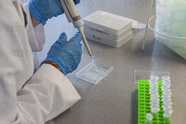 Student of the faculty of biology at the University of Duisburg-Essen during research work pipetting