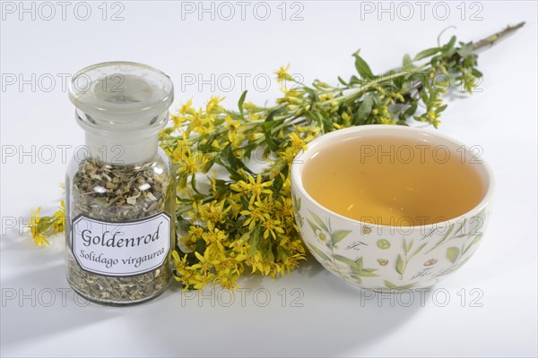 Cup goldenrod tea