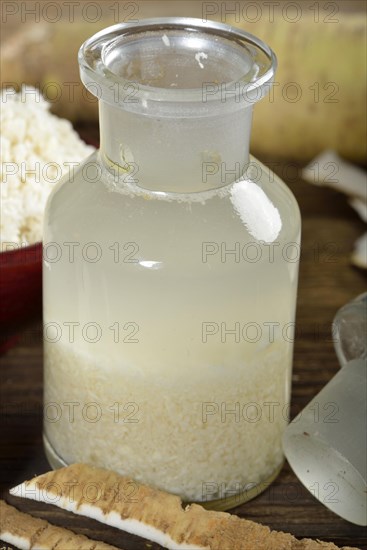 Production of horseradish tincture