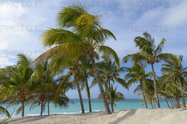 Varadero Beach