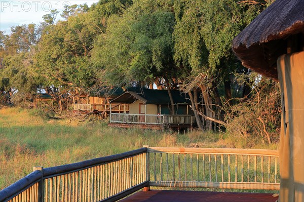 Safari Lodge