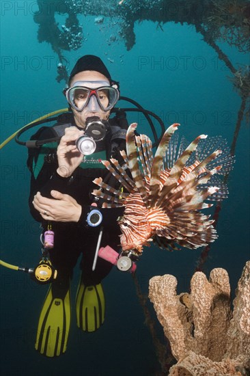 Lionfish at the Mbike Wreck