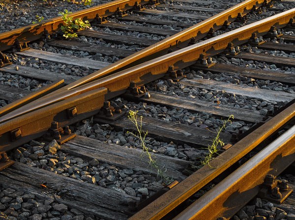 Old railway tracks