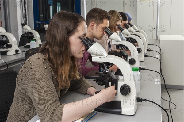 Students at the microscopy course in the Faculty of Biology at the University of Duisburg-Essen