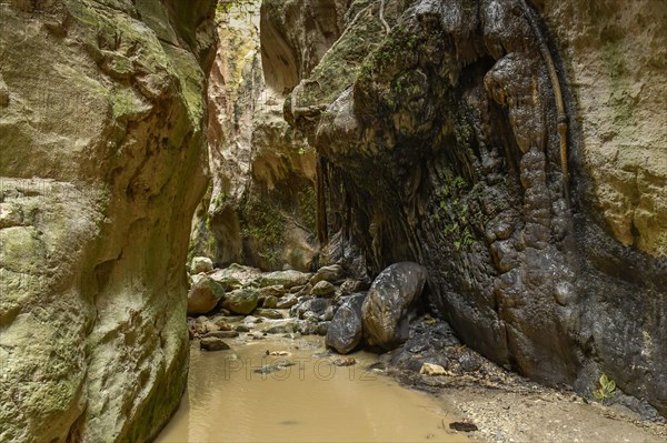 Avakas Gorge