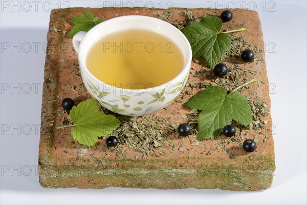 A cup of tea with black currant leaves