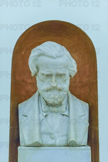 Bust