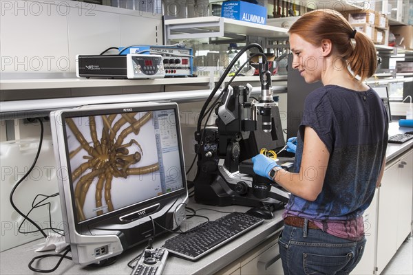 Biologist of the Aquatic Ecosystems Group