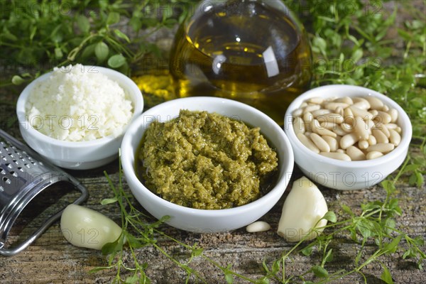 Chickweed pesto