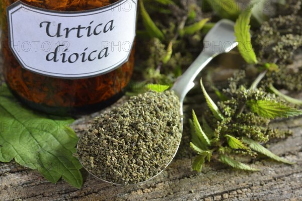 Nettle seeds